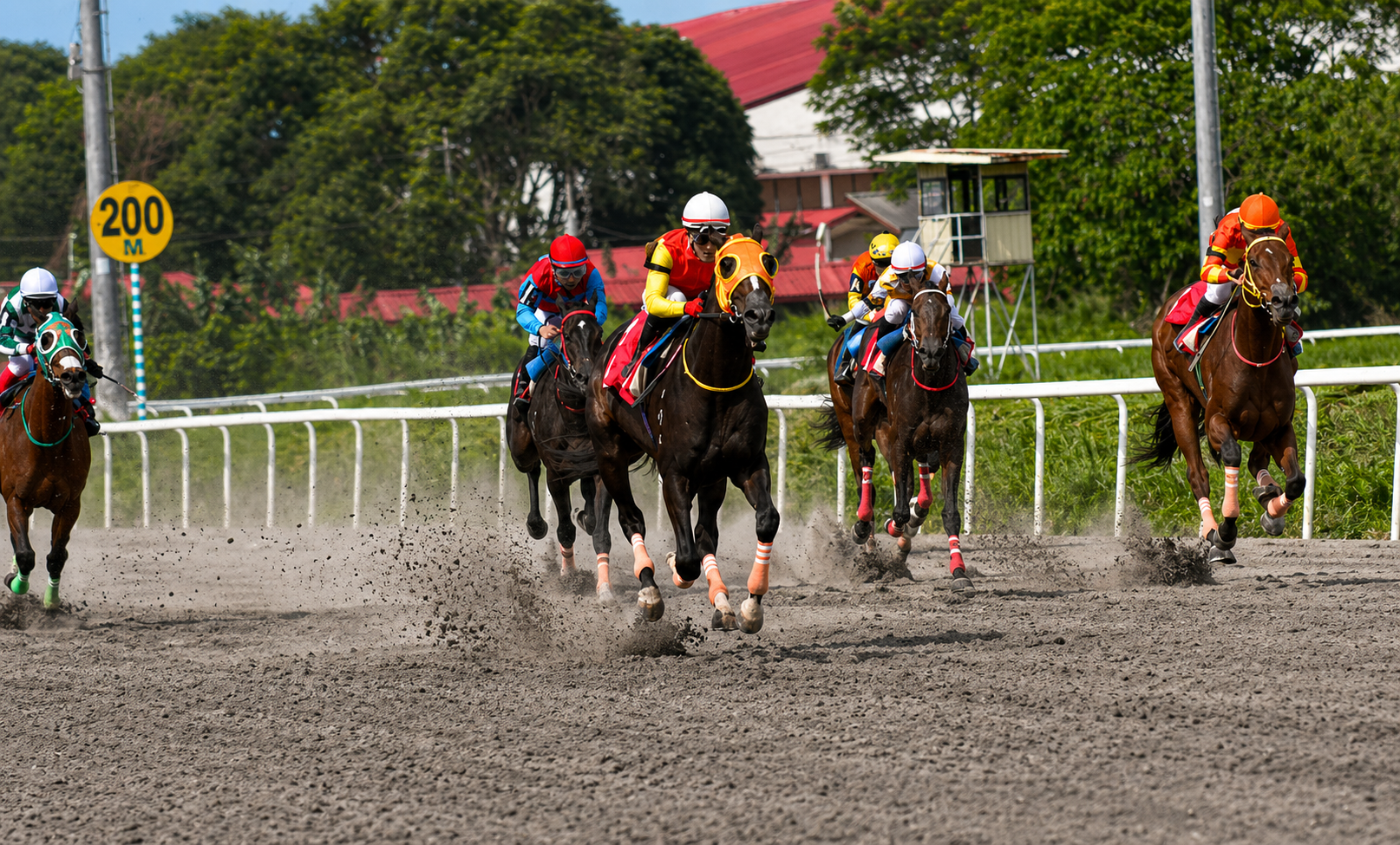 MetroTurf grandstand and track